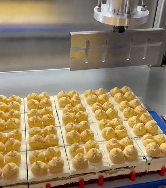 Cutting and Slicing Cake with  Profiteroles